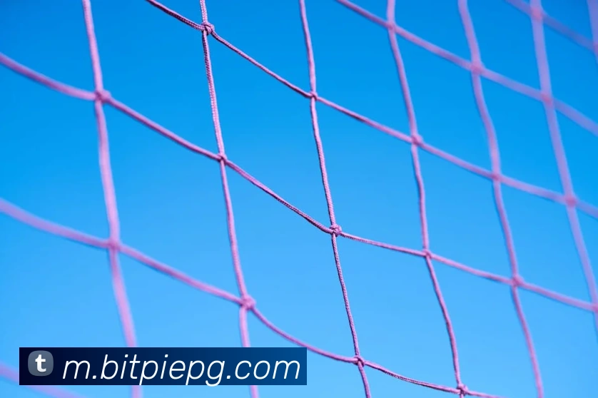 pg官网发展历程